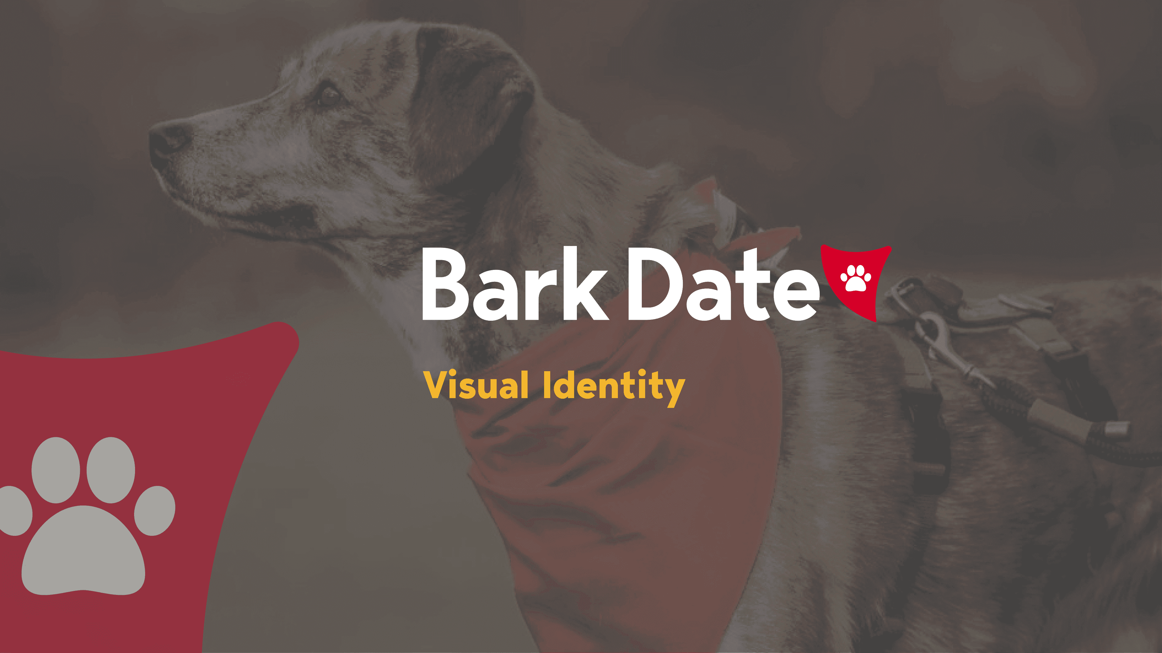 Bark Date Visual Identity-1.png